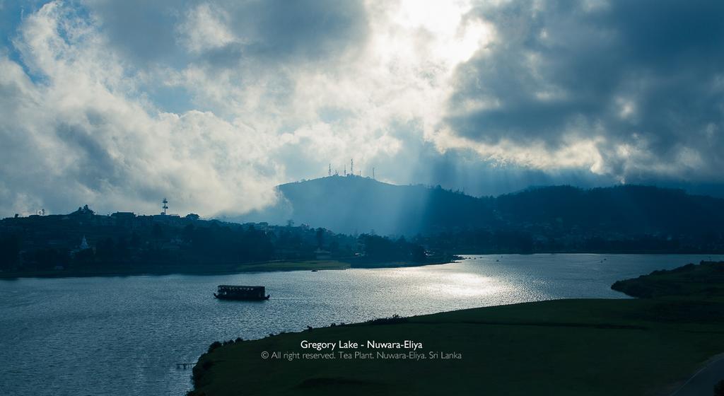 Tea Plant Nuwara Eliya Βίλα Εξωτερικό φωτογραφία